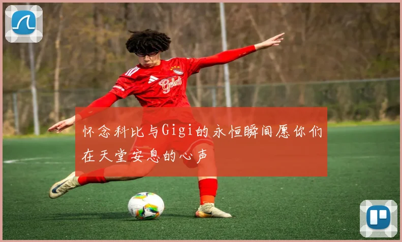 怀念科比与Gigi的永恒瞬间愿你们在天堂安息的心声
